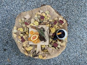 Gluhwein with sundried orange slices (Firepit4)